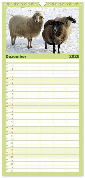 Produktbild: Familienplaner 2026 - Sch&auml;fchen z&auml;hlen - mit Schafen durchs Jahr mit 5 Spalten (Wandkalender, 21 x 45 cm) CALVENDO