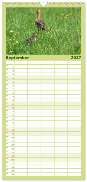 Produktbild: Familienplaner 2027 - Die bedrohten Uferschnepfen mit 5 Spalten (Wandkalender, 21 x 45 cm) CALVENDO