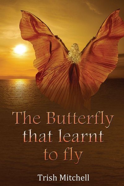 Produktbild: The Butterfly that learnt to fly