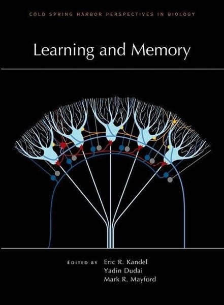 Produktbild: Learning and Memory