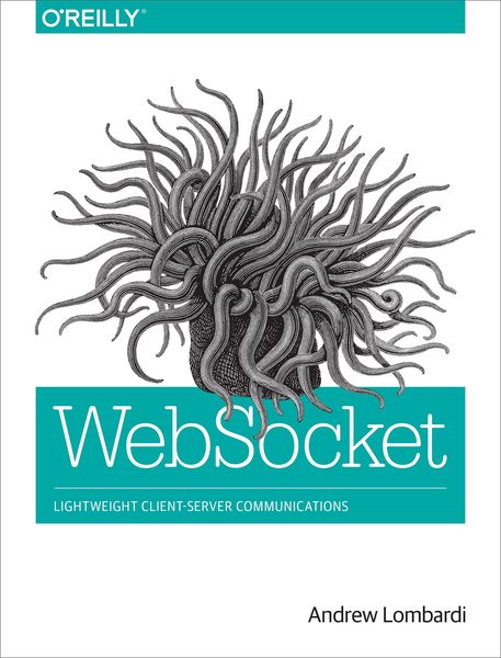 Produktbild: WebSocket