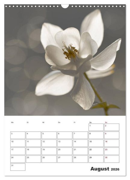 Produktbild: Farbiger Bl&uuml;tentraum (Wandkalender 2026 DIN A3 hoch), CALVENDO Monatskalender