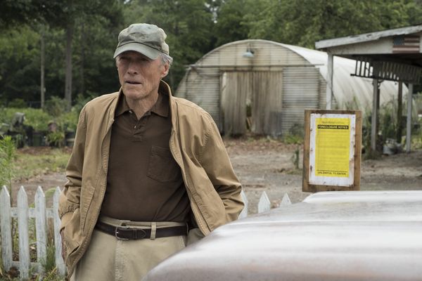 Produktbild: The Mule