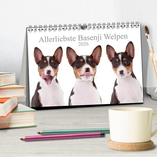 Produktbild: Allerliebste Basenji Welpen 2026 (Tischkalender 2026 DIN A5 quer), CALVENDO Monatskalender