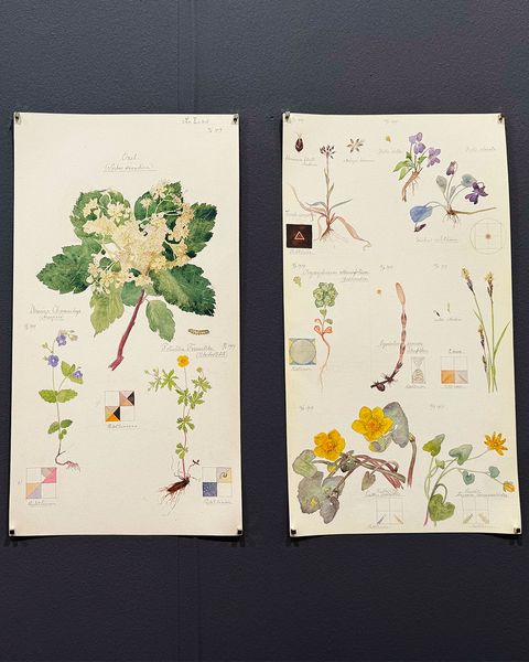 Produktbild: Hilma af Klint. Flora