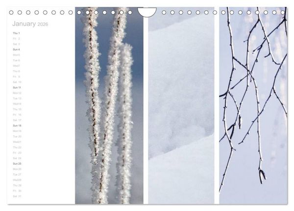 Produktbild: Natural Trios (Wall Calendar 2026 DIN A4 landscape), CALVENDO 12 Month Wall Calendar