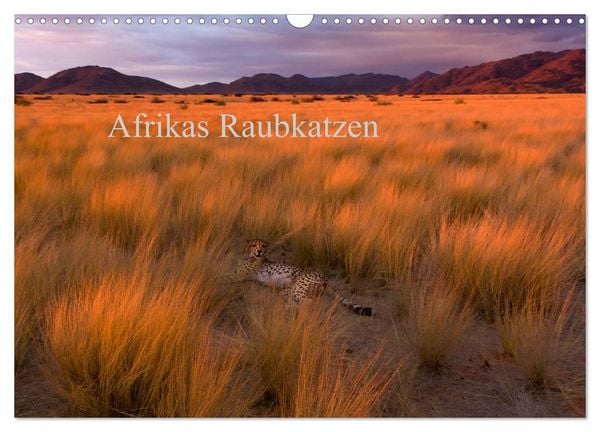 Afrikas Raubkatzen (Wandkalender 2026 DIN A3 quer), CALVENDO Monatskalender