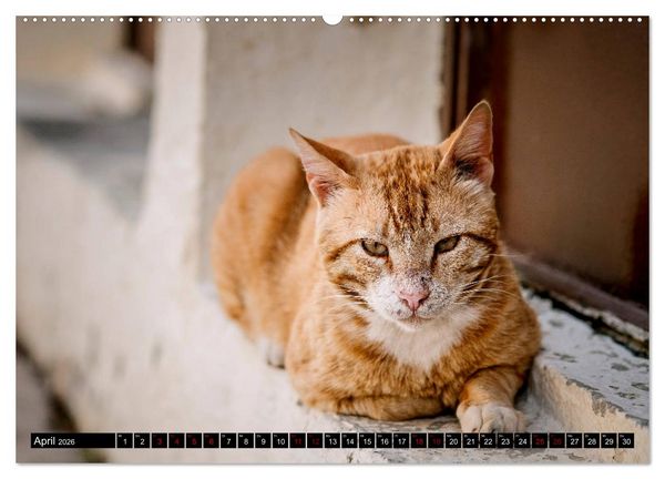 Produktbild: Kreta - malerische Ansichten (hochwertiger Premium Wandkalender 2026 DIN A2 quer), Kunstdruck in Hochglanz