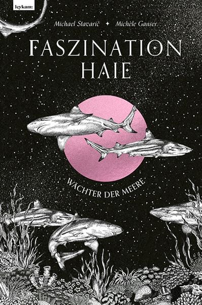 Produktbild: Faszination Haie &ndash; W&auml;chter der Meere