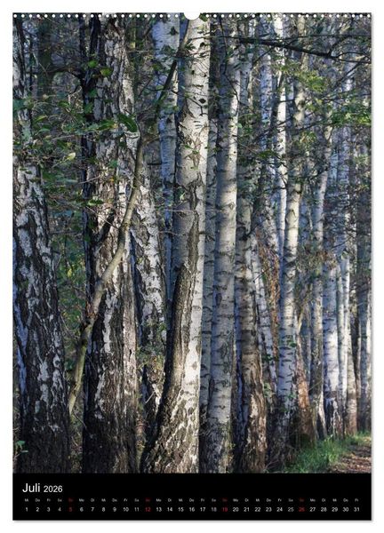 Produktbild: Wunderbarer Spreewald (Wandkalender 2026 DIN A2 hoch), CALVENDO Monatskalender