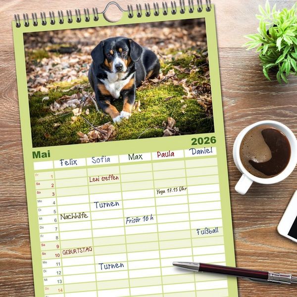 Produktbild: Familienplaner 2026 - Entlebucher Sennenhund - treue Freunde mit 5 Spalten (Wandkalender, 21 x 45 cm) CALVENDO