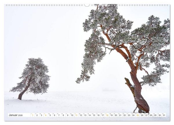 Produktbild: B&auml;ume im Altm&uuml;hltal (Wandkalender 2026 DIN A2 quer), CALVENDO Monatskalender