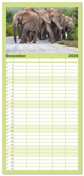 Produktbild: Familienplaner 2026 - Elefanten Begegnungen im &ouml;stlichen und s&uuml;dlichen Afrika mit 5 Spalten (Wandkalender, 21 x 45 cm) CALVENDO