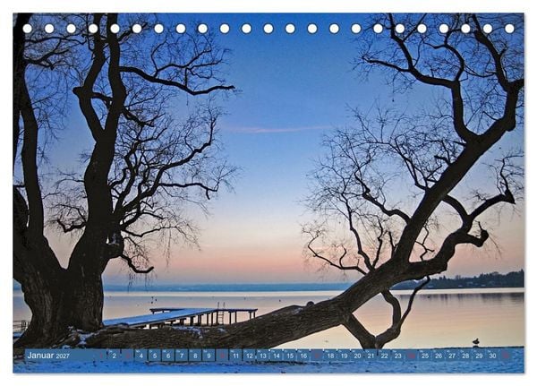 Produktbild: B&auml;ume sind Tr&auml;ume (Tischkalender 2027 DIN A5 quer), CALVENDO Monatskalender