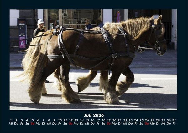 Produktbild: Pferde Kalender 2026 Fotokalender DIN A4
