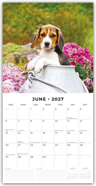 Produktbild: Beagles &ndash; Beagle 2027 &ndash; 16-Monatskalender