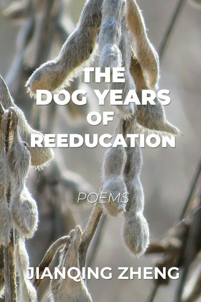 Produktbild: The Dog Years of Reeducation