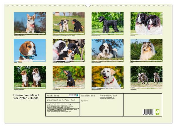 Produktbild: Unsere Freunde auf vier Pfoten - Hunde (Wandkalender 2026 DIN A2 quer), CALVENDO Monatskalender