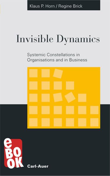 Produktbild: Invisible Dynamics