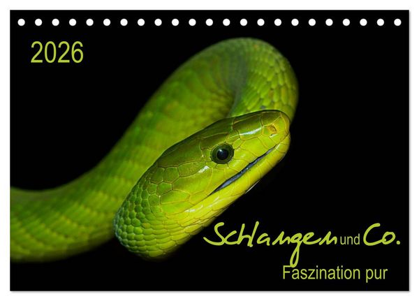 Produktbild: Schlangen und Co. - Faszination pur (Tischkalender 2026 DIN A5 quer), CALVENDO Monatskalender