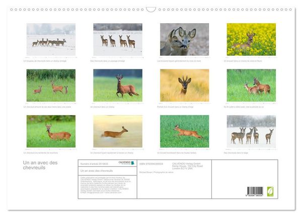 Produktbild: Un an avec des chevreuils (Calendrier mural 2027 DIN A2 vertical), CALVENDO calendrier mensuel
