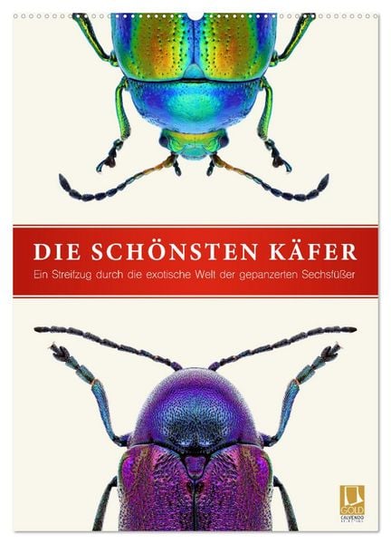 Produktbild: Die sch&ouml;nsten K&auml;fer (Wandkalender 2026 DIN A2 hoch), CALVENDO Monatskalender