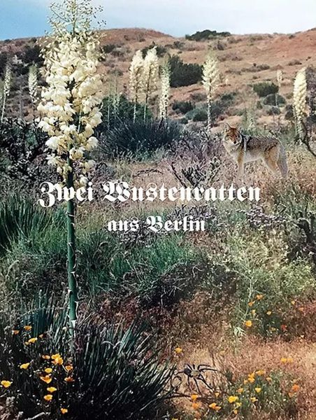 Produktbild: Zwei W&uuml;stenratten aus Berlin