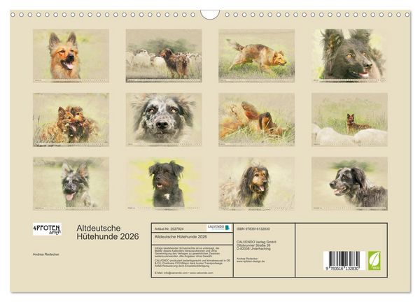 Produktbild: Altdeutsche H&uuml;tehunde 2026 (Wandkalender 2026 DIN A3 quer), CALVENDO Monatskalender