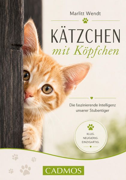 Produktbild: K&auml;tzchen mit K&ouml;pfchen