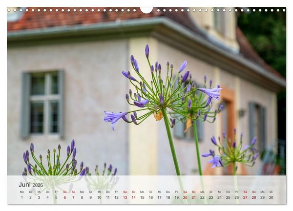 Produktbild: Schloss Favorite &ndash; Ein Park im Wandel der Jahreszeiten (Wandkalender 2026 DIN A3 quer), CALVENDO Monatskalender