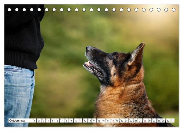 Produktbild: Deutscher Sch&auml;ferhund - Der beste Freund des Menschen (Tischkalender 2026 DIN A5 quer), CALVENDO Monatskalender