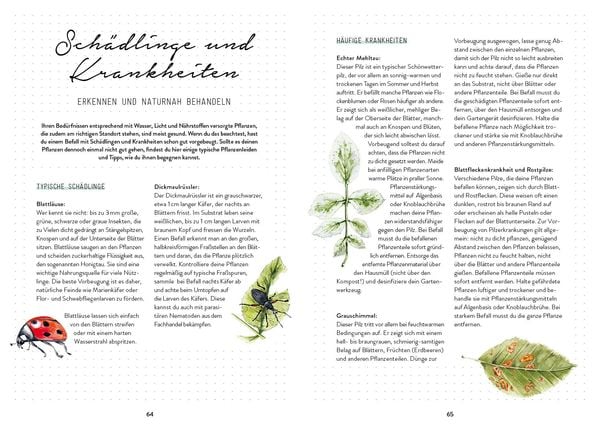 Produktbild: Bienengl&uuml;ck im Garten &ndash; Das illustrierte Gartenbuch