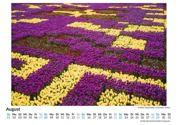 Produktbild: Tulpen