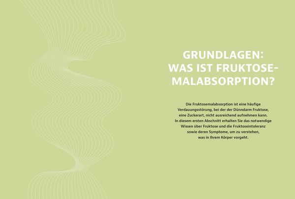Produktbild: Schluss mit Fruktoseintoleranz
