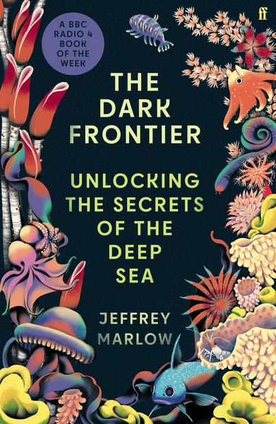 Produktbild: The Dark Frontier