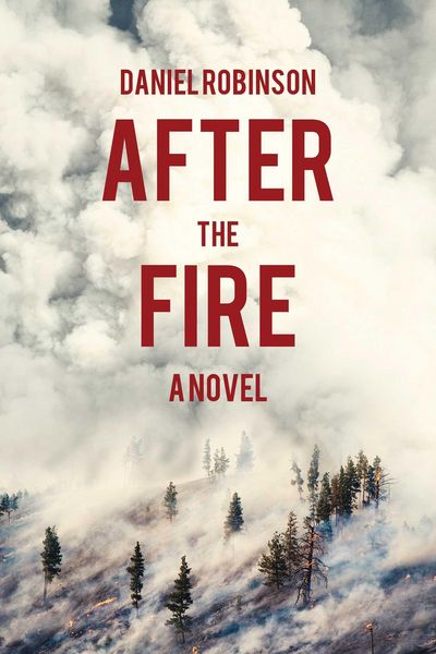 Produktbild: After the Fire