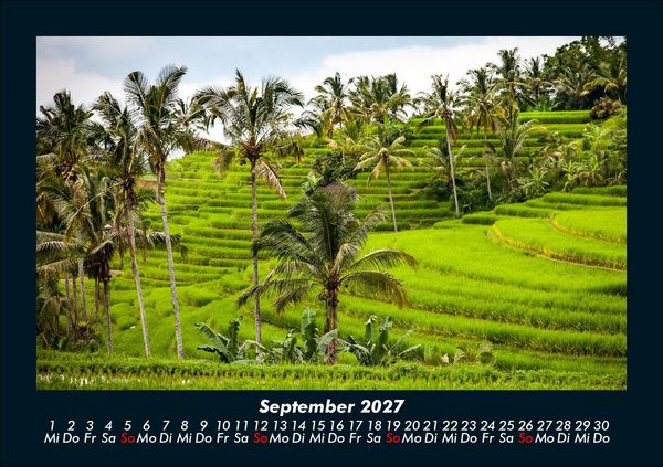 Produktbild: Palmentraum 2027 Fotokalender DIN A5