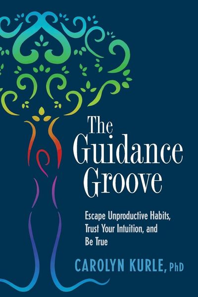 Produktbild: The Guidance Groove