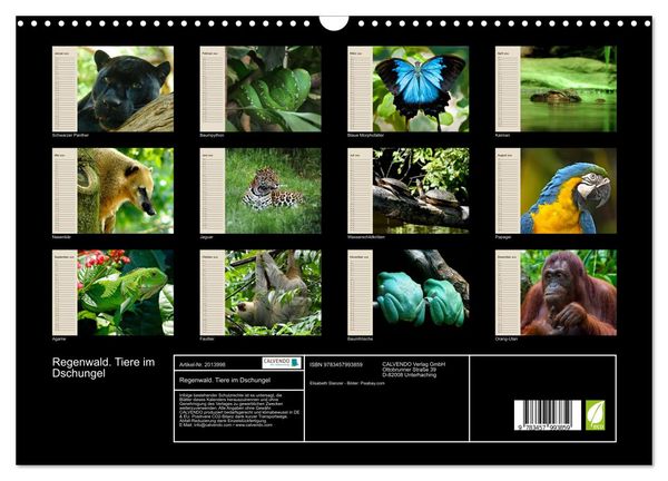 Produktbild: Regenwald. Tiere im Dschungel (Wandkalender 2026 DIN A3 quer), CALVENDO Monatskalender