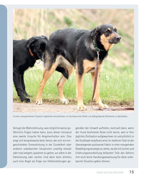 Produktbild: Mein Hund hat Angst
