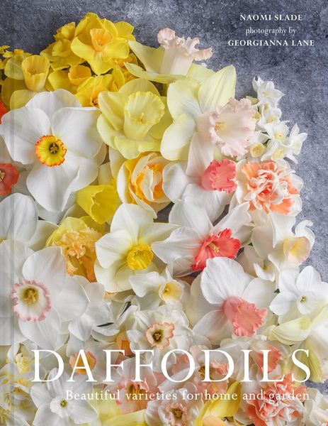 Produktbild: Daffodils