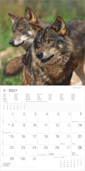 Produktbild: W&ouml;lfe 2027