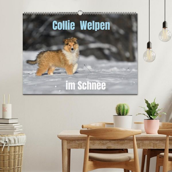 Produktbild: Collie Welpen im Schnee (Wandkalender 2026 DIN A2 quer), CALVENDO Monatskalender