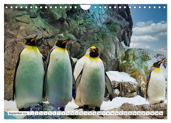 Produktbild: Tierische Fracktr&auml;ger (Wandkalender 2026 DIN A4 quer), CALVENDO Monatskalender