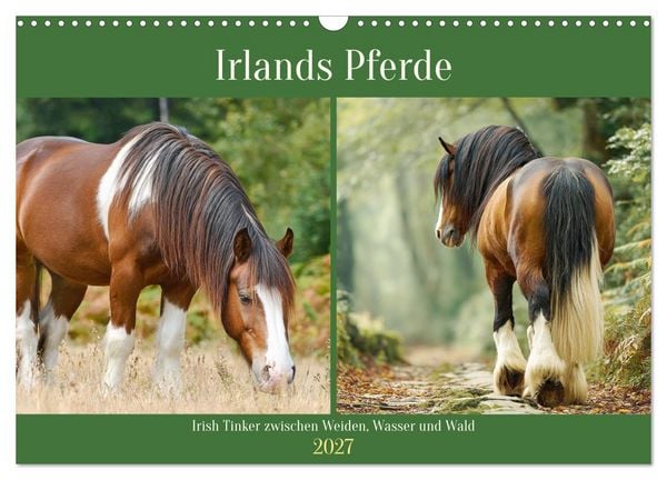 Produktbild: Irlands Pferde. Irish Tinker zwischen Weiden, Wasser und Wald (Wandkalender 2027 DIN A3 quer), CALVENDO Monatskalender
