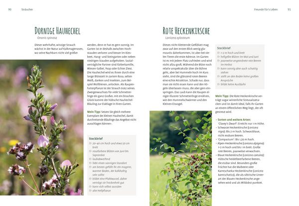 Produktbild: Heimische Pflanzen f&uuml;r den Garten