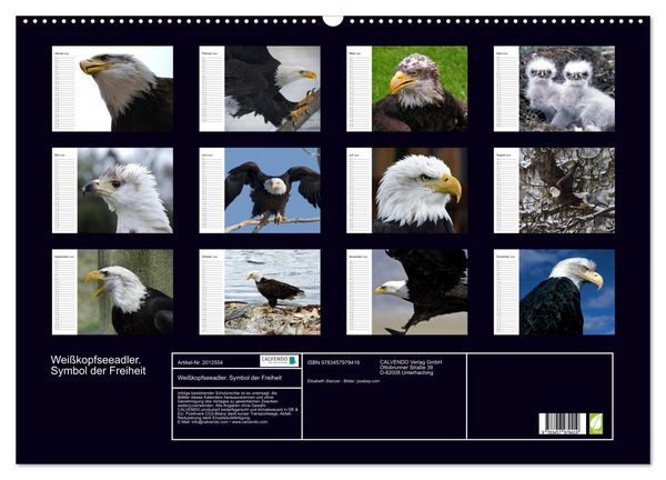 Produktbild: Wei&szlig;kopfseeadler. Symbol der Freiheit (Wandkalender 2026 DIN A2 quer), CALVENDO Monatskalender
