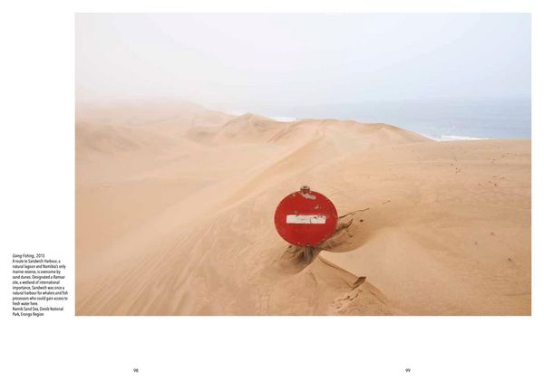 Produktbild: Dust on the Wind