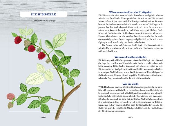 Produktbild: Unser heimisches Superfood
