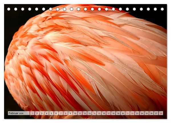 Produktbild: Flamingo Zauber (Tischkalender 2026 DIN A5 quer), CALVENDO Monatskalender
